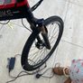 Electric bike Image 5