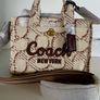 bag Image 4