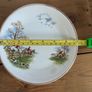 Arklow Pottery Tally Ho pattern plates /bowls Image 5
