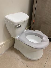 Training toilet