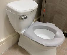 Training toilet