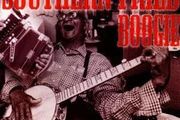 Free Postage! Southern Fried Boogie. CD.