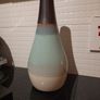 vase Image 3
