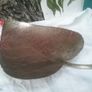 Metal Leaf Tray Image 2