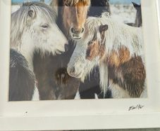 This is a framed photograph titled "Icelandic Horses" featuring Icelandic ponies in a snowy landscape.