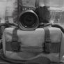 Nikon D90 Image 2