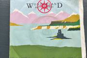 7" single Big Country Wonderland