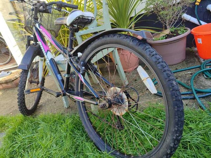 Power Pearl 24 inch girls mountain bike