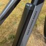 Rad Rhino 6+ ebike Image 4