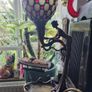 Art Nouveau style table lamp, Image 6