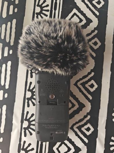 Zoom H5