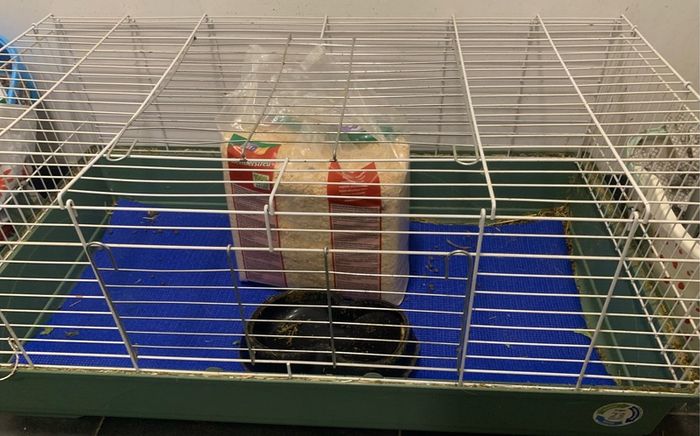 large rabbit cage and bedding