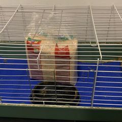 large rabbit cage and bedding