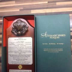 Mayo All Ireland 2026 Commemorative Plaque