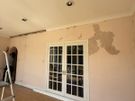 painter and plastering, painting Image 3