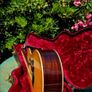Taylor 818e USA made Grand Orchestra Image 5