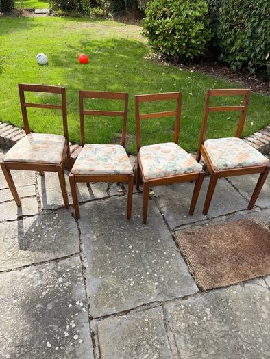 Mahogony chairs