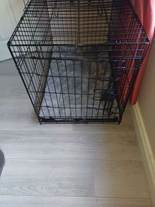 Large Dog Crate