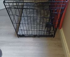 Large Dog Crate