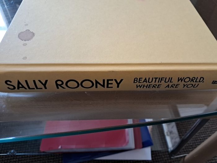 Sally Rooney - Beautiful World, Where Are You