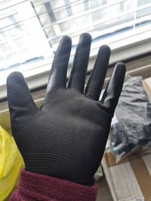 gloves  10 pack