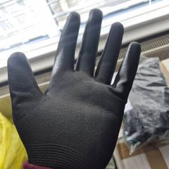 gloves  10 pack