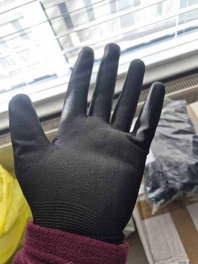 gloves  10 pack