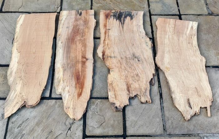 5 Live Edge Hardwood Slabs for Epoxy Resin / Coffee Tables