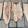 5 Live Edge Hardwood Slabs for Epoxy Resin / Coffee Tables Image 2