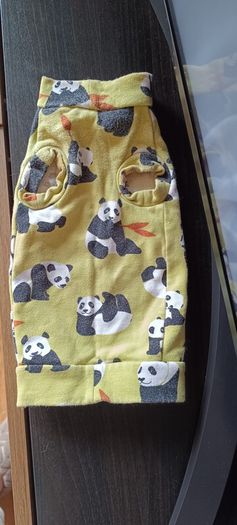 sphynx cat clothes