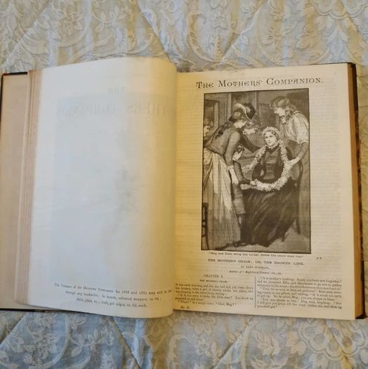 Antique Book: Mother's Companion from 1889