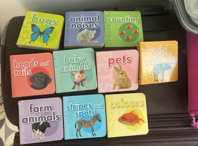 baby mini board books