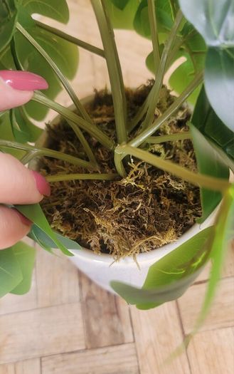 Artificial Monstera Plants in Ceramic Pots x 2