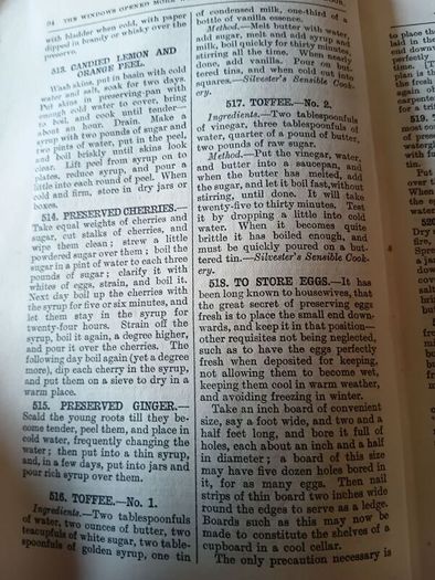 1923 Enquire Within upon Everything. Herbert Jenkins Ltd. Antique. Life.