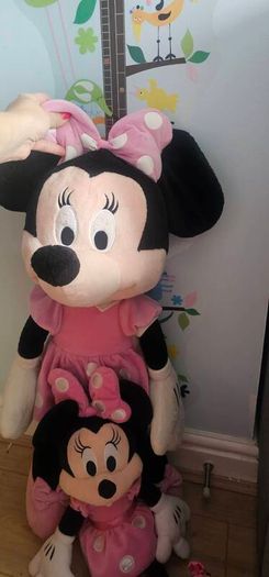 Mini mouse toy bundle