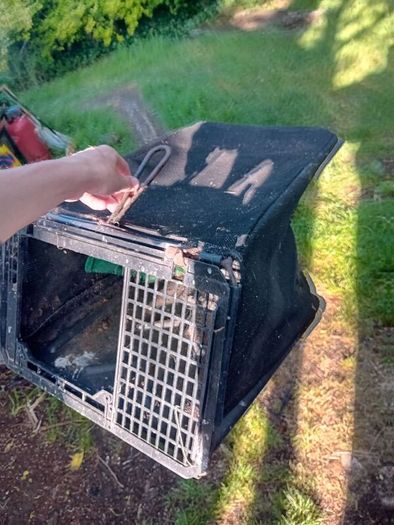 lawnmower grassboxs