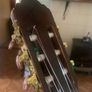 guitar Image 2