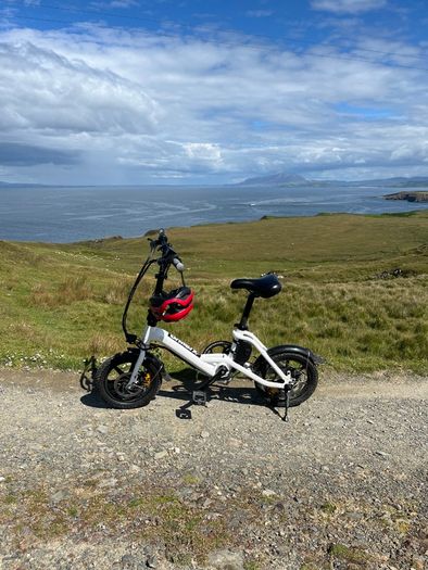 Fiido d3 pro electric bike