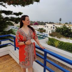 Monsoon Dress  Size 14