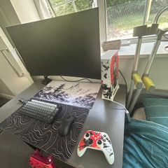 gaming monitor
