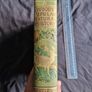 Wood's Natural History, 1893 ed. Incredible Condition. Image 2