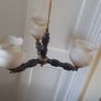 Ceiling light Image 2