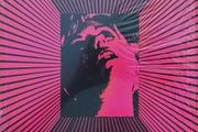 The Men: Immaculada (LP, Pink vinyl