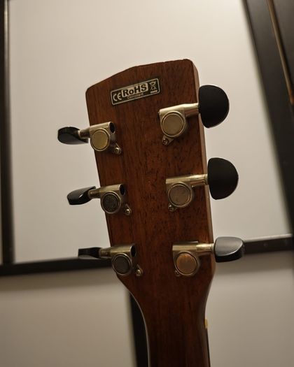 Cort MR710F NS Electro-Acoustic Guitar - Solid Top, Fishman Blend Preamp & Gig Bag
