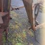 Duncan tractor cab for Massey Ferguson 35-135 Image 3
