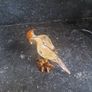 enamelled bird trinket Image 2