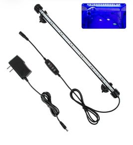 Fish Tank Light