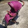 lightweight buggy great for plane Image 5