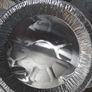 aliminuim foil plates Image 3