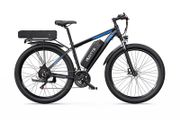 DUOTTS C29-K Electric Bike